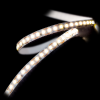 LED Strips